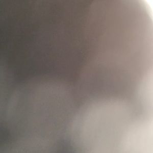 Meet your Posher, Shelley